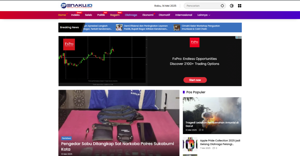 🖥️ Jasa Pembuatan Website WordPress 2 penaku id